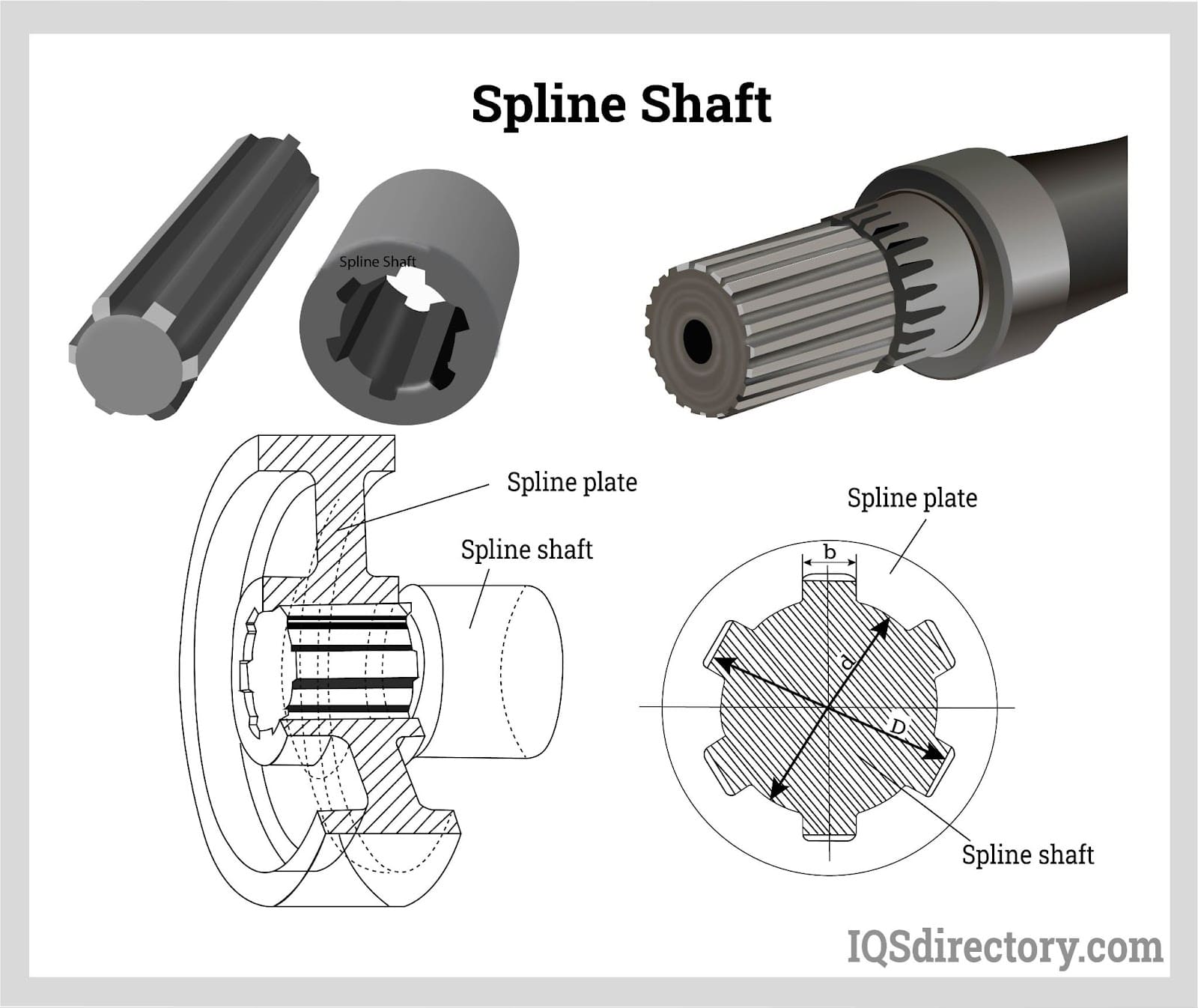 The geometric establishment of the spline shaft and the spline hole